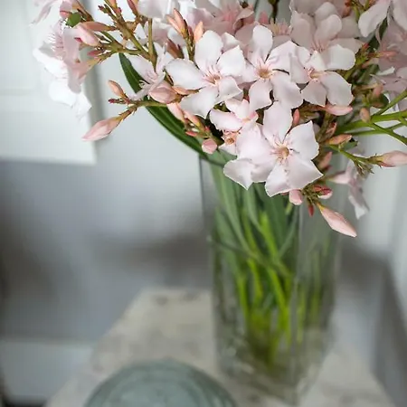 Maria Boutique 3* Cannobio